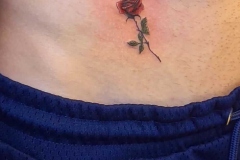 tatuaje-rosa-micro-realismo-abdomen-alba-galban-inferno-tattoo-barcelona