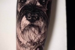 tattoo-retrato-perro-realismo-annie-blesok-inferno-tattoo-barcelona