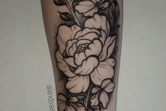 puntillismo-flores-alex-baens-mediano-brazo-orquideas-flor-loto