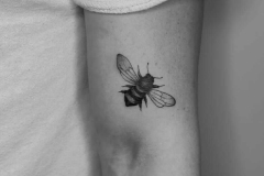 tatuaje-ilustracion-abeja-insecto-brazo-alba-galban-inferno-tattoo-barcelona