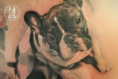 inferno-tattoo-barcelona-realismo-negro-y-gris-christian-kurt-bieber-grande-espalda-retrato-bulldog