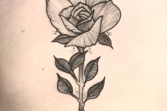 rosa-tattoo-black-work-dot-work-alex-baens-espalda-mediano