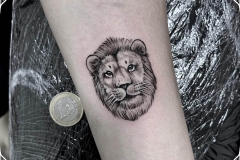 cara-leon-tattoo-ilustracion-blackwork-pequeño-alex-baens