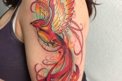 inferno-tattoo-barcelona-neotradi-alex-baens-grande-brazo-pajaro