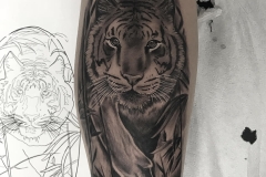 inferno-tattoo-barcelona-realismo-alex-baens-grande-brazo-tigre