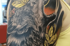 detalle-tatuaje-lobo-realismo-con-neotradi
