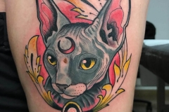 inferno-tattoo-barcelona-neotradi-alex-baens-mediano-pierna-gato-persa-anime