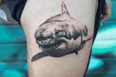 tiburon-tattoo-negro-gris-hector-mateos-inferno-tattoo-barcelona