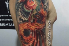 inferno-tattoo-barcelona-joel-federico-tatuaje-pajaro-fuego-color