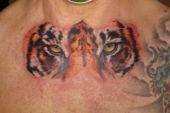 tattoo-retrato-animal-ojos-tigre-realismo-bieber-inferno-tattoo-barcelona