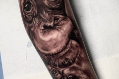 annie-blesok-realismo-negro-y-gris-grande-brazo-antebrazo-orangutan-cara-jpg