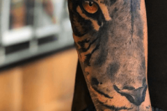 felino-tattoo-negro-gris-hector-mateos-inferno-tattoo-barcelona