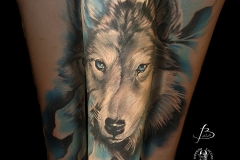 inferno-tattoo-barcelona-christian-kurt-bieber-lobo-realista-color-antebrazo