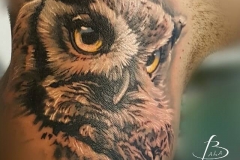 inferno-tattoo-barcelona-christian-kurt-buho-negro-gris-2017