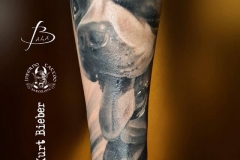 inferno-tattoo-barcelona-christian-kurt-negro-gris-retrato-perro-antebrazo