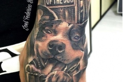 inferno-tattoo-barcelona-joel-federico-perro-realista-pitbull-negro-gris