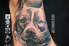 inferno-tattoo-barcelona-pitbull-pie-joel-federico