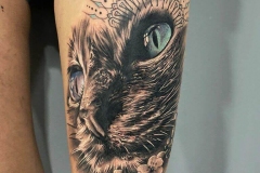 joel-federico-bieber-realismo-color-grande-muslo-retrato-gata-jpg