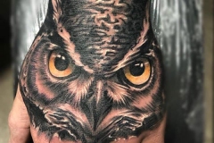 realismo-negro-y-gris-joel-federico-bieber-mediano-mano-retrato-buho-JPG-1