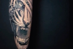 tatuaje-realismo-christian-kurt-bieber-rugido-felino-inferno-tattoo-barcelona
